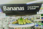 Bananas are cool!