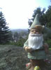 Gnome in the woods